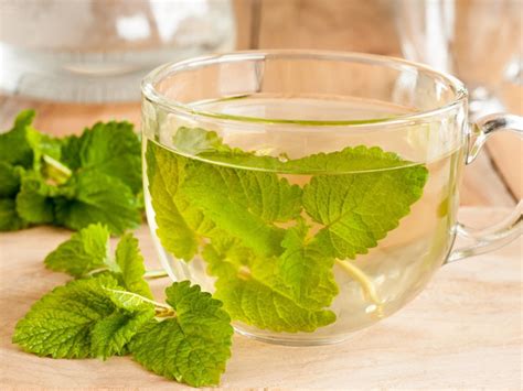 does lemon balm tea have caffeine? And does it affect anxiety?