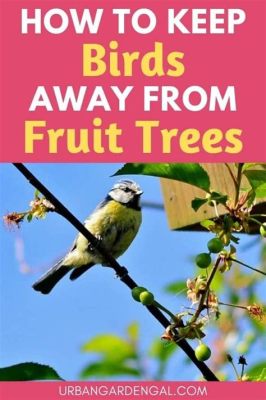 how to keep birds away from fruit trees: do you really need to be careful about the color of your fruit?